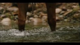 Yellowstone - Season 05 Episode 06